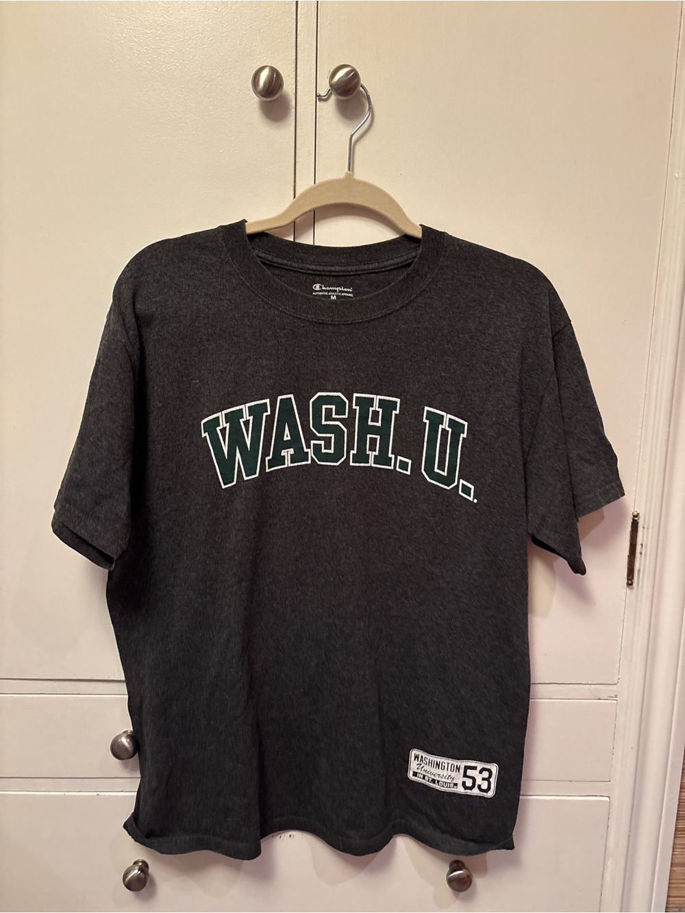 Champion dark gray tee with green and white lettering
